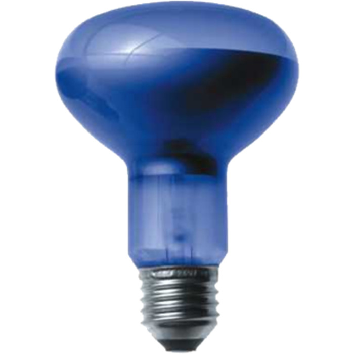 Ampoule Spot 100W lumière du jour D11121 Ampoule Spot 100W lumière du jour D11121