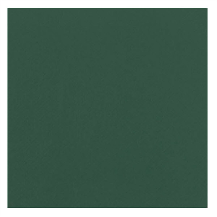 Flex A0010 vert foncé 50cm au 10cm Flex A0010 vert foncé 50cm au 10cm