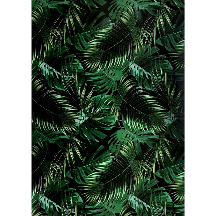 Vinyle 21,5 x 30,5cm botanique Vinyle 21,5 x 30,5cm botanique